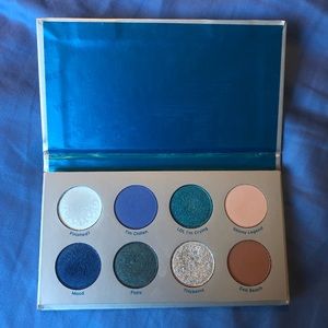Colourpop Bretman x Colourpop Wet Palette